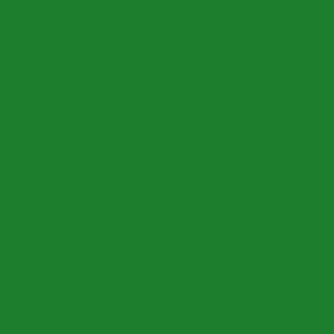 Vinyl Gloss Green (1m Roll)