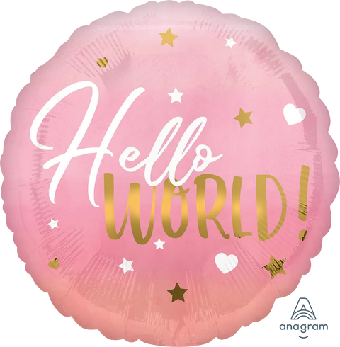 Hello World Pink Baby Girl Foil Balloon (17")